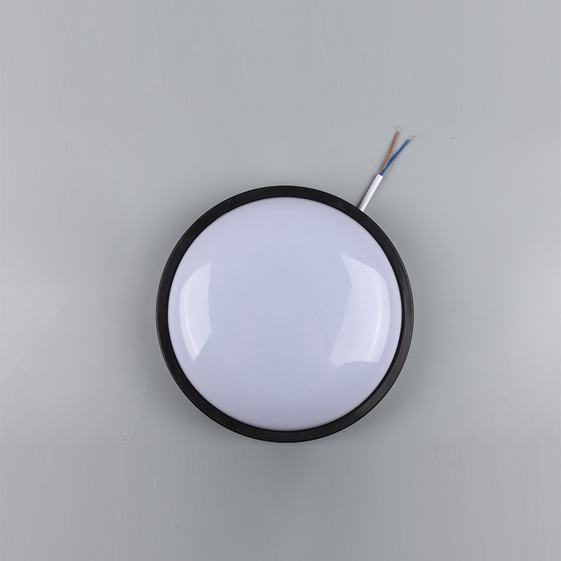 Led skott